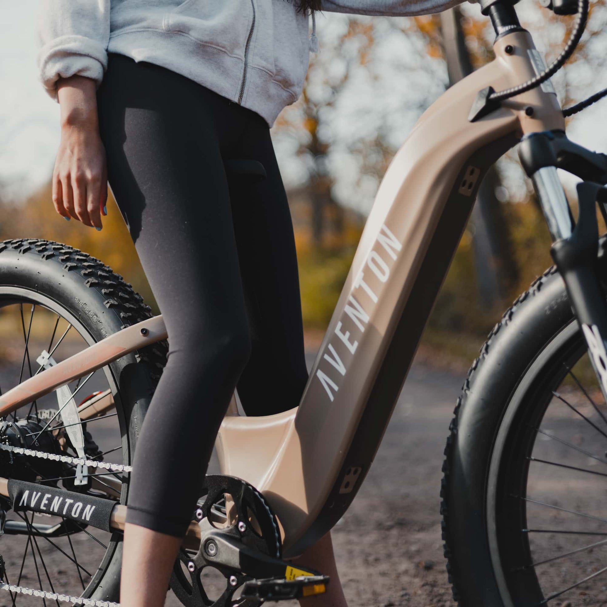 Aventure Step Through Ebike Lifestyle shot in SoCal Sand