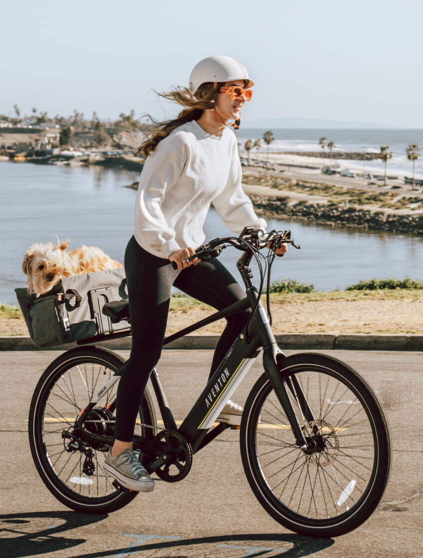 Pace 500.3 Ebike Lifestyle